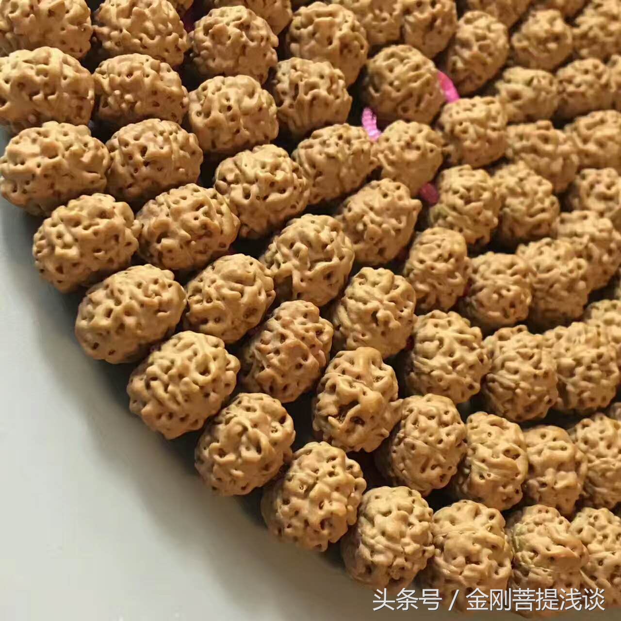 金刚菩提纹路里反碱,六瓣雪花金刚菩提纹路