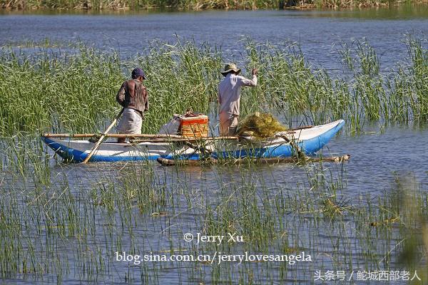 海滩捕鱼的几种方法,海边捕鱼吃海鲜视频大全