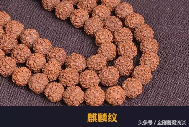 金刚菩提纹路里反碱,六瓣雪花金刚菩提纹路