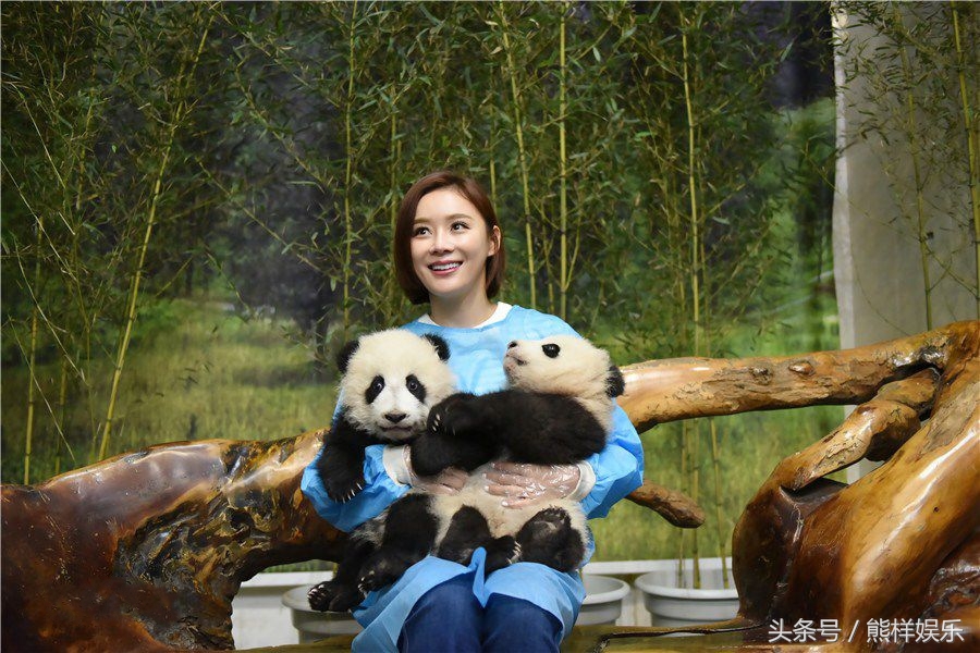 曾是丫鬟专业户,半年跑了三十几个剧组,袁姗姗:滚了几年了,我想和这个世界谈谈