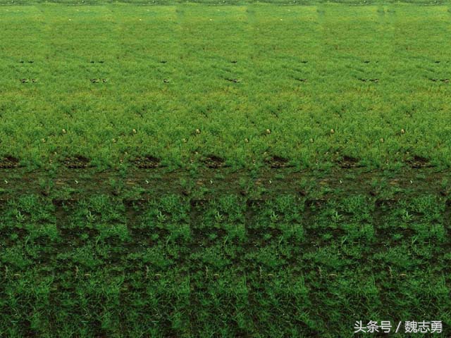 心理减压画画,减压静心的画