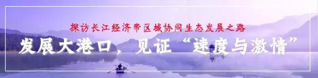 网媒人高温前行，实地探访后，想说这里“港港的”