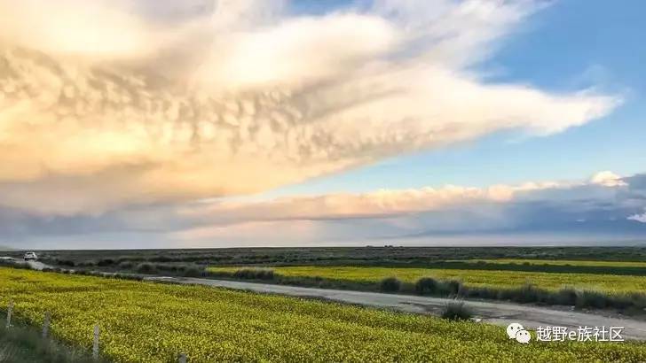 我与“她”可可西里二十天零距离的故事