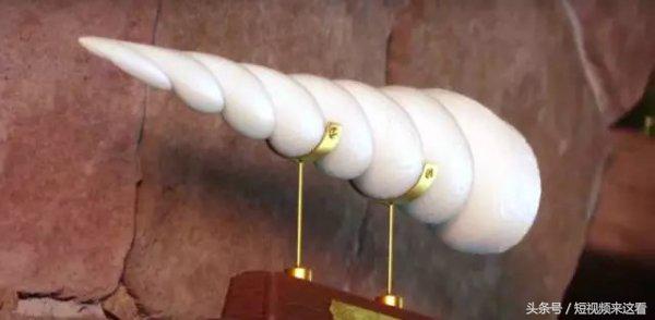 神偷奶爸3有多少个彩蛋 (神偷奶爸3彩蛋)