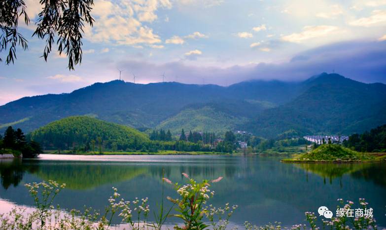 盛夏七月,商城县这几个地方被避暑游客挤爆了……