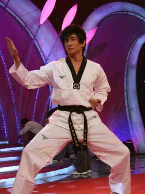 吴奇隆年纪轻轻就拿过跆拳道冠军,而江一燕的摄影兴趣还帮她得过国际大奖?