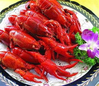 龙虾宴强势来袭,龙虾火爆来袭