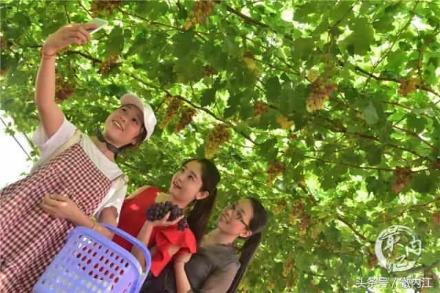 人间七月天旅游正当时,人间七月天的下一句