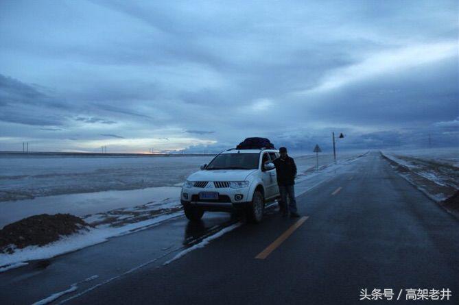 流浪的玫瑰,流浪的玫瑰歌曲