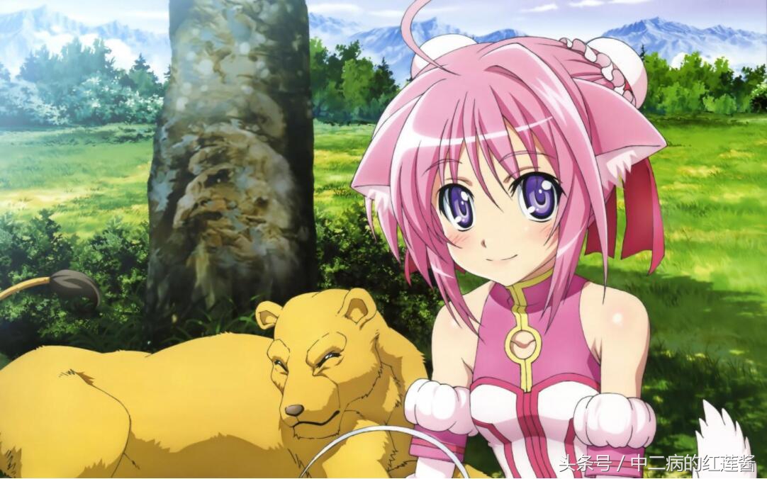 《笨女孩》被一个笨蛋带坏的小镇，唯独这条狗全面过人