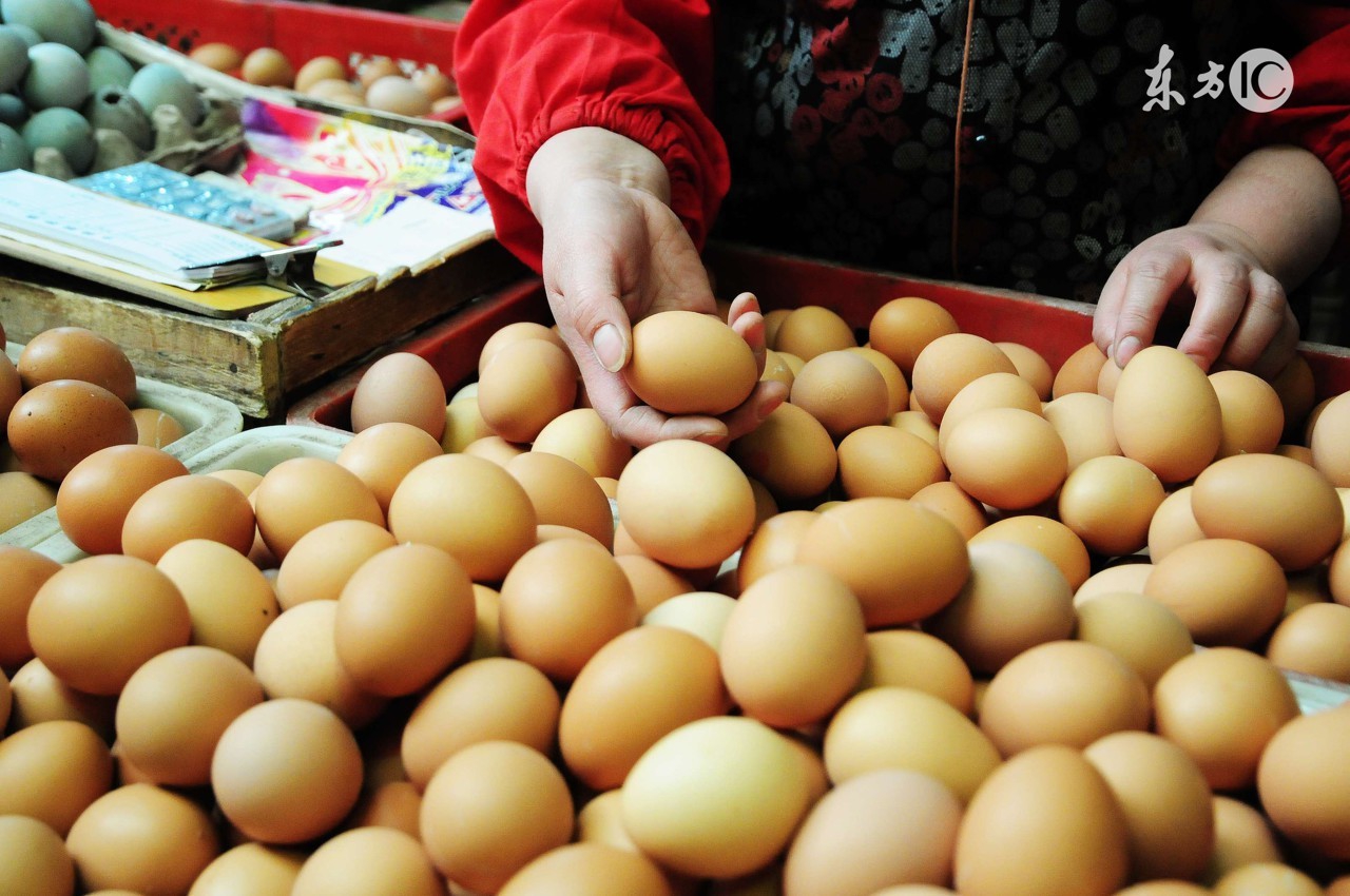 蛋农价格最新行情,蛋价稳中偏弱走货速度放缓