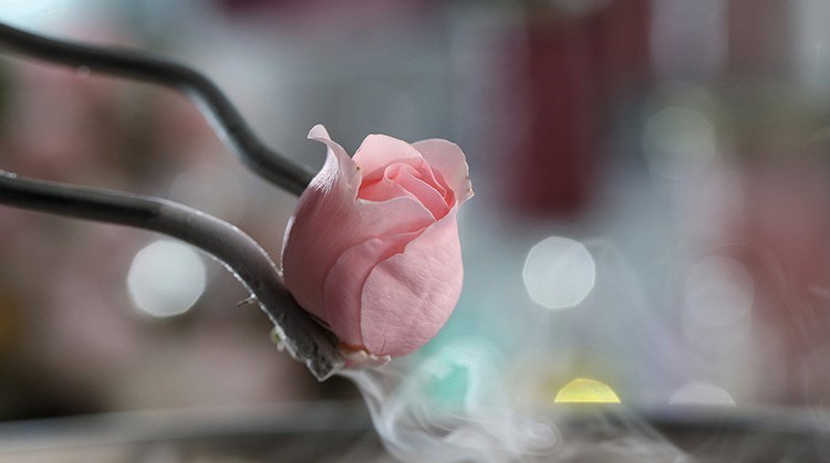 纯天然就是安全的吗,纯天然的就是最好的这句话对吗