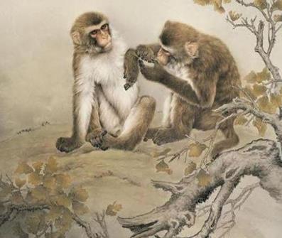 这四大生肖的孩子天生富贵命,这三大生肖的人明年喜得贵子