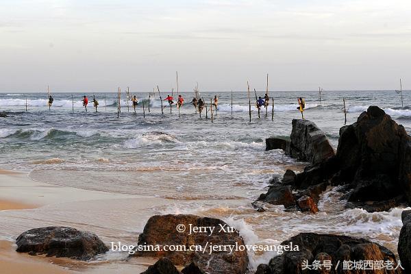 海滩捕鱼的几种方法,海边捕鱼吃海鲜视频大全