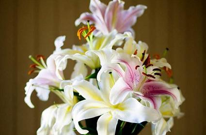 赵老哥短线龙头,赵老哥板块分析