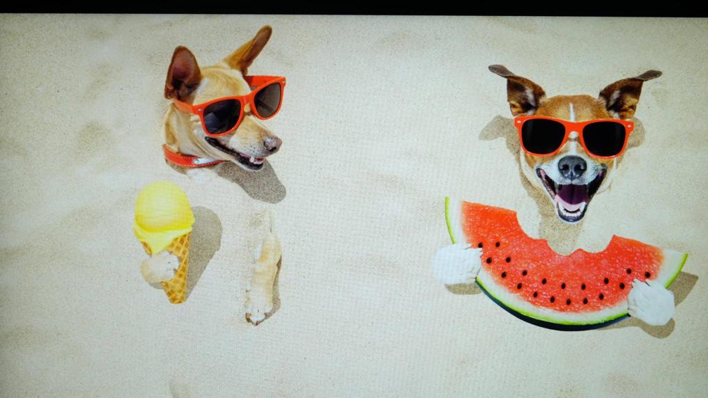 惠普envy13深度解析,惠普envy13第七代