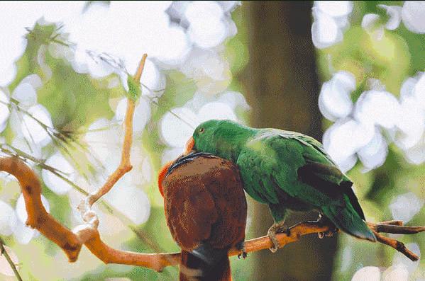 广州旅游攻略长隆动物世界,去广州旅游攻略长隆动物园