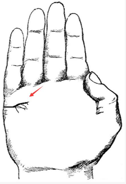 婚姻线不好就代表婚姻不幸福吗,当心婚姻的生肖