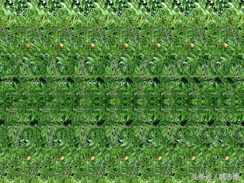 心理减压画画,减压静心的画