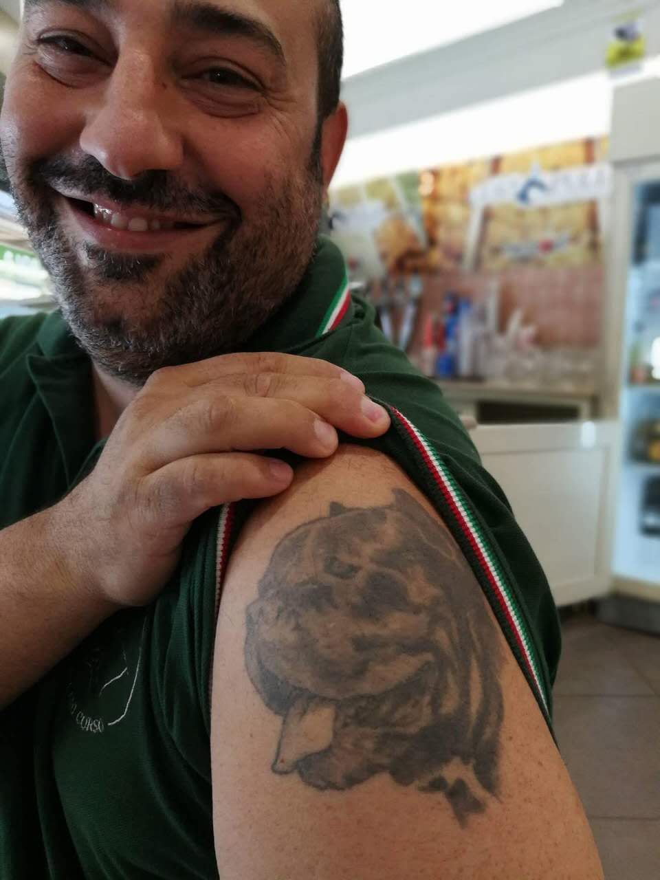 千年古老犬种卡斯罗,寻根之旅巴里坤