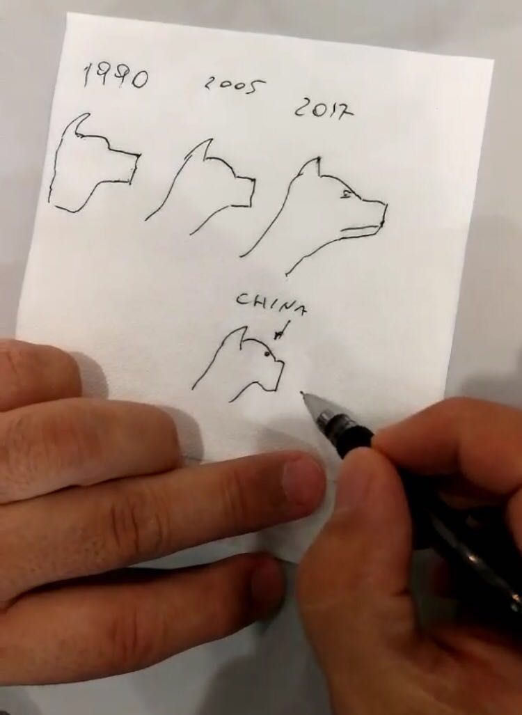 千年古老犬种卡斯罗,寻根之旅巴里坤