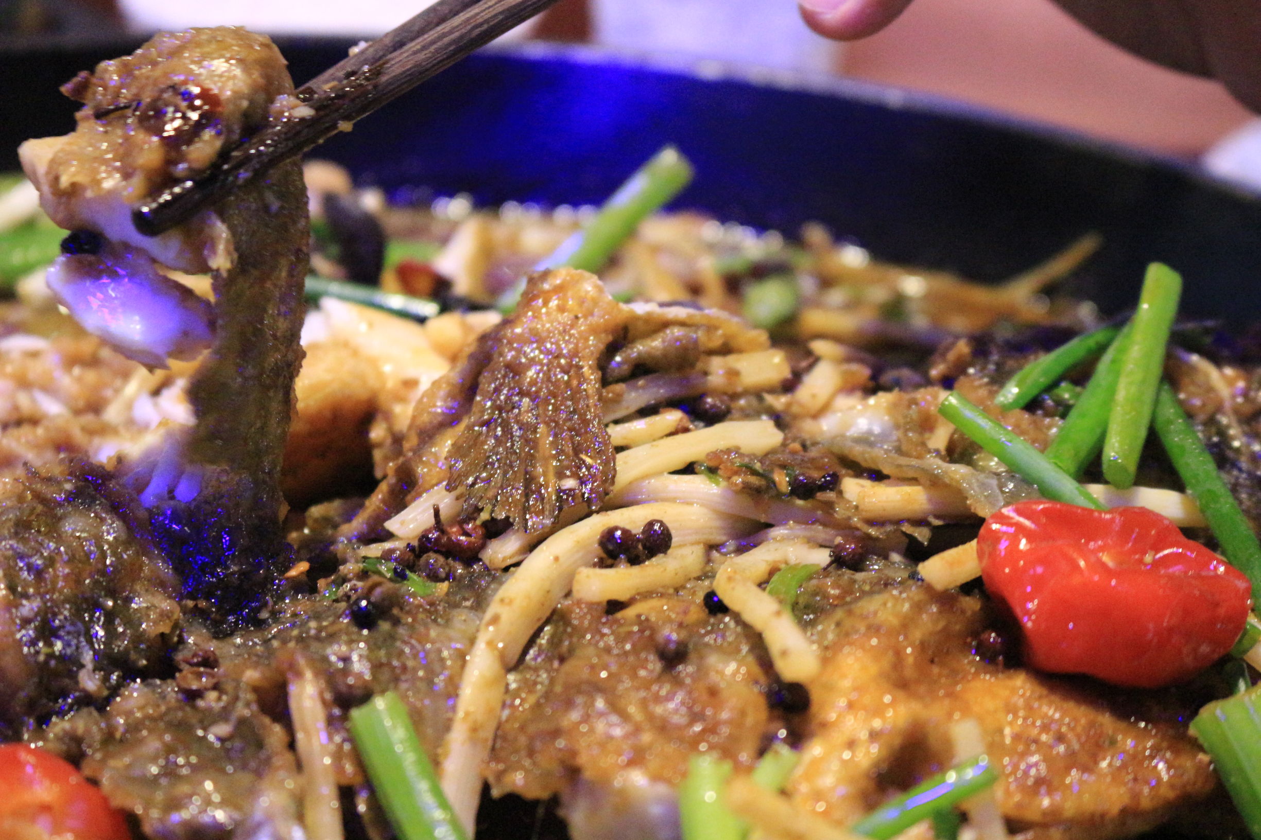 老板恋上鱼,老板恋上鱼加盟官网