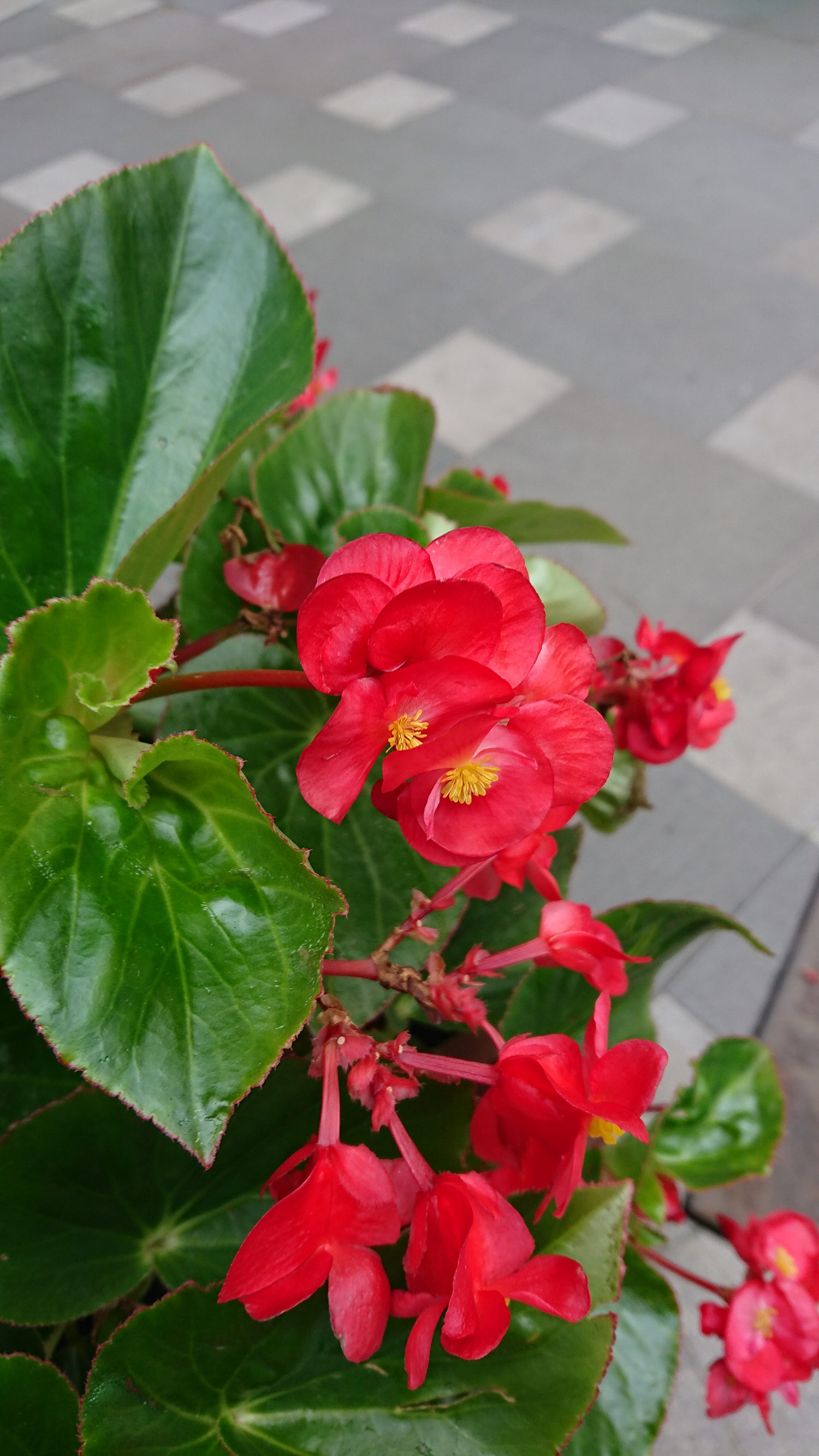 索尼xperia5iii与xperia1iii,拍照黑科技