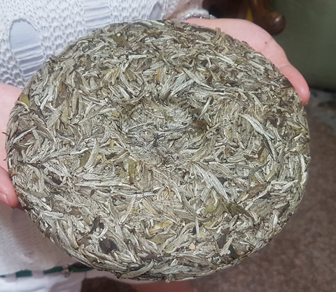 为什么白茶不只有女人才能采,白茶适合女人吗