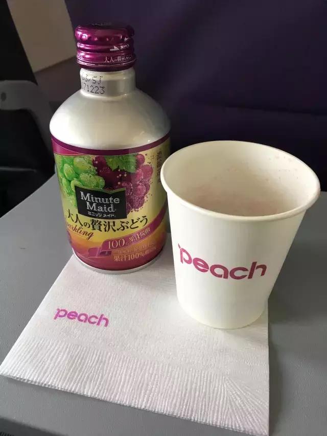 日本带孩子自由行穷游攻略,日本大阪带娃5日游都去哪