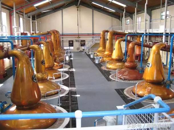 品味生命之美歌曲,生命之水感悟