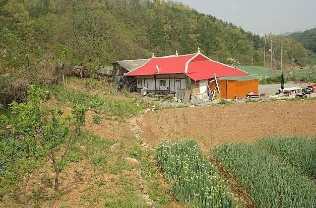 闺蜜远嫁韩国农村,闺蜜远嫁韩国农村家