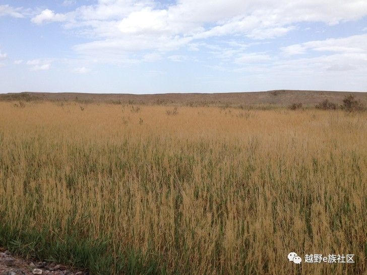 我与“她”可可西里二十天零距离的故事