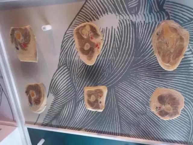 美国66号公路详细路线,美国66号公路自驾游最全行程攻略