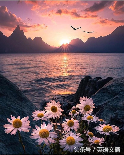 远方的你是我今生的挚爱,你是我唯一的挚爱