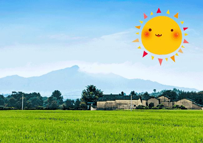 我是陆龟但是我也很怕热哦，千万不要让我暴晒哟