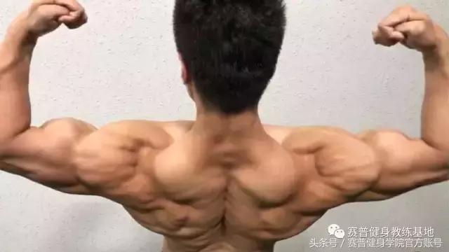 怎样一天练成饱满的胸肌和肌肉,如何打造饱满胸肌上胸训练是关键