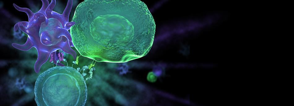 你知道人类的大脑是怎么衰退的吗？诺贝尔奖得主丹海姆哈尔曼博士的重大发现