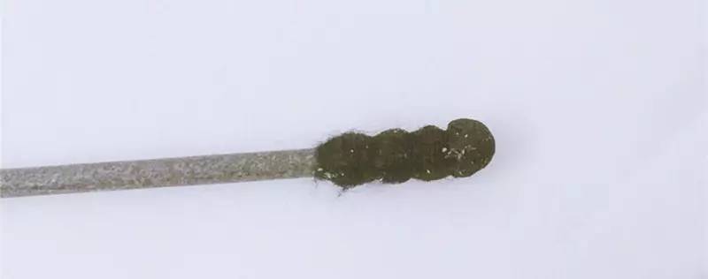 “黑头”这个渣男,彻底和他Say byebye~