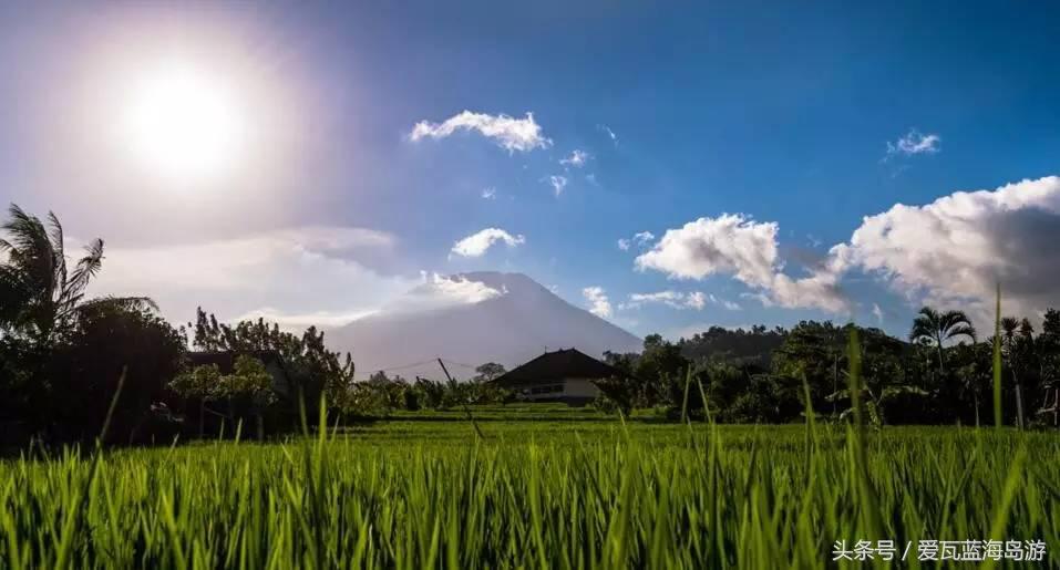 龙目岛和巴厘岛 (龙目岛好还是科莫多岛好)