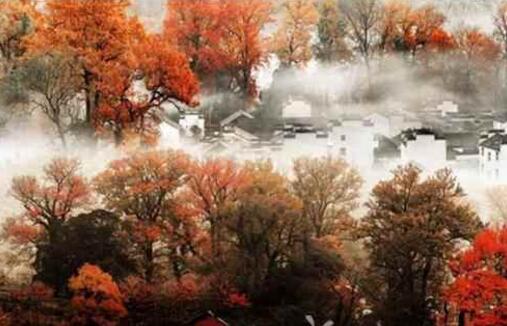 治愈烦恼的最佳方法,根除烦恼的秘诀是谁写的