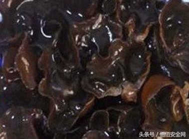 人造木耳怎么种,怎么识别人造木耳