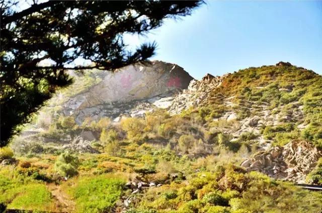 不输九寨沟的山东景点,不输九寨沟的湖