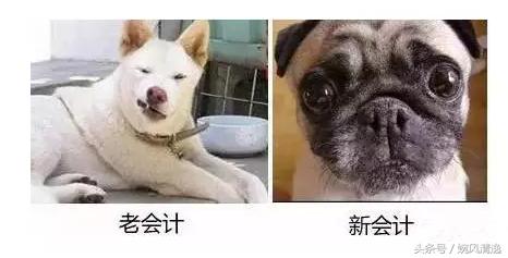 做会计是一种怎样的体验,做会计是做什么工作的