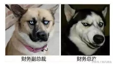 做会计是一种怎样的体验,做会计是做什么工作的