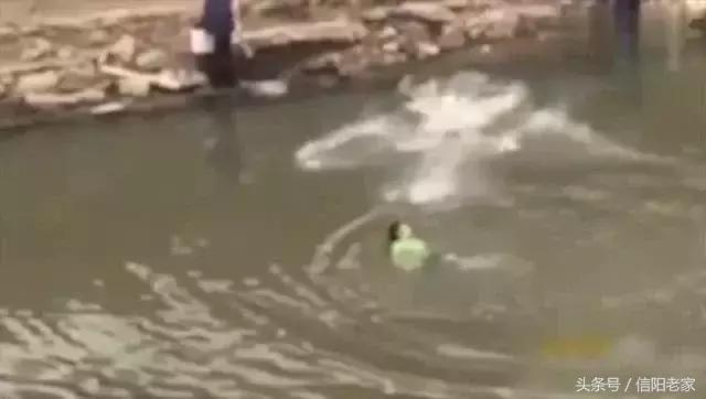 信阳：小时候有关水猴子的秘密