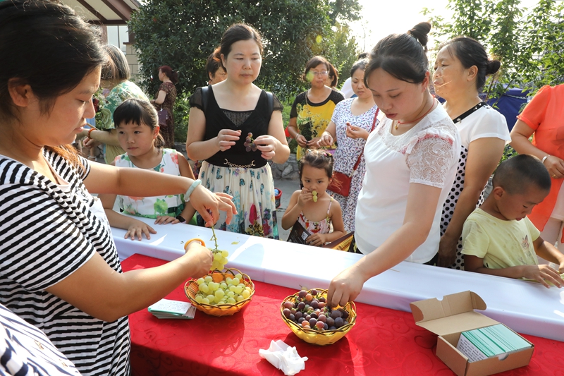 鱼头火锅吃货,鱼头火锅美食视频