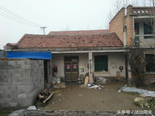 进口农药德国叶面肥,德国进口农药复合肥