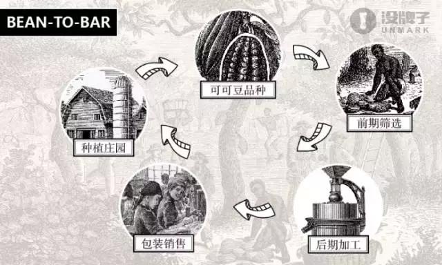 什么牌子的黑巧最好吃,黑巧好吃得不得了