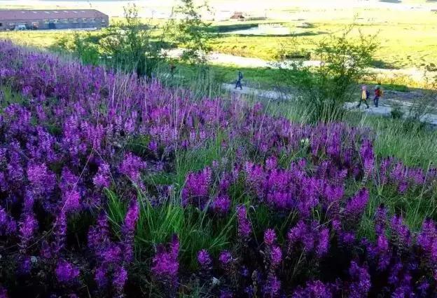 浮云牧场酒店推荐,浮云牧场网红酒店