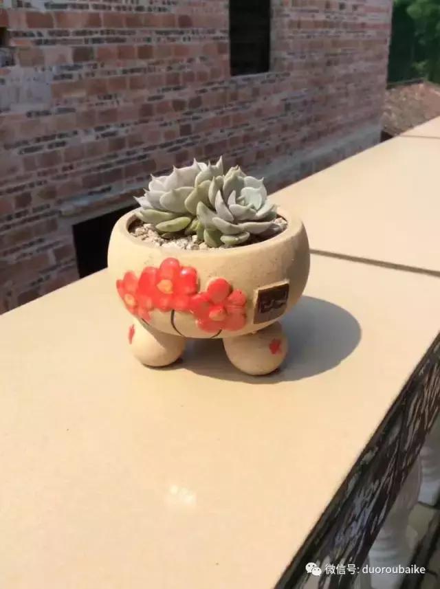 自制多肉花架最简单的方法,自制多肉花架子